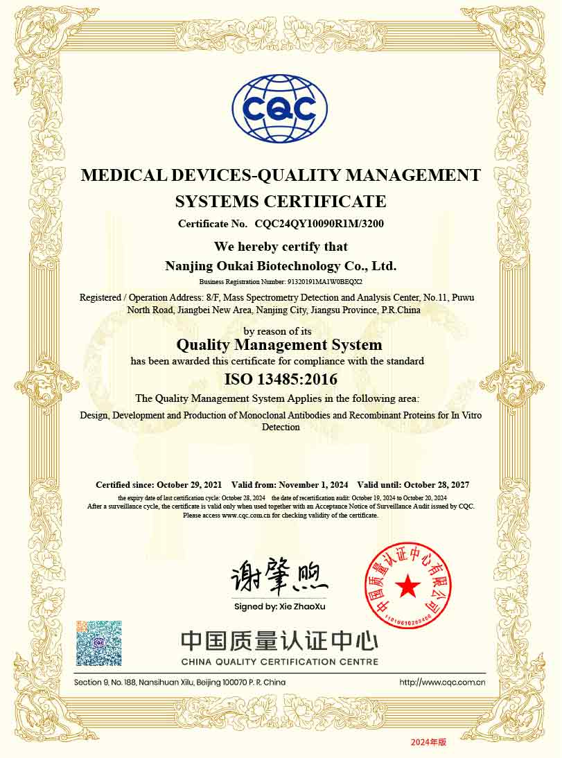 ISO13485-en