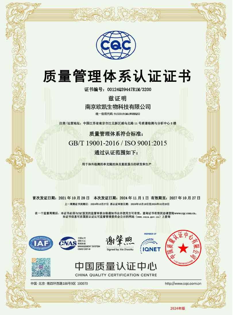 ISO9001