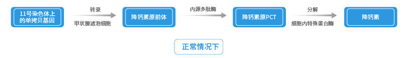 PCT合成路徑