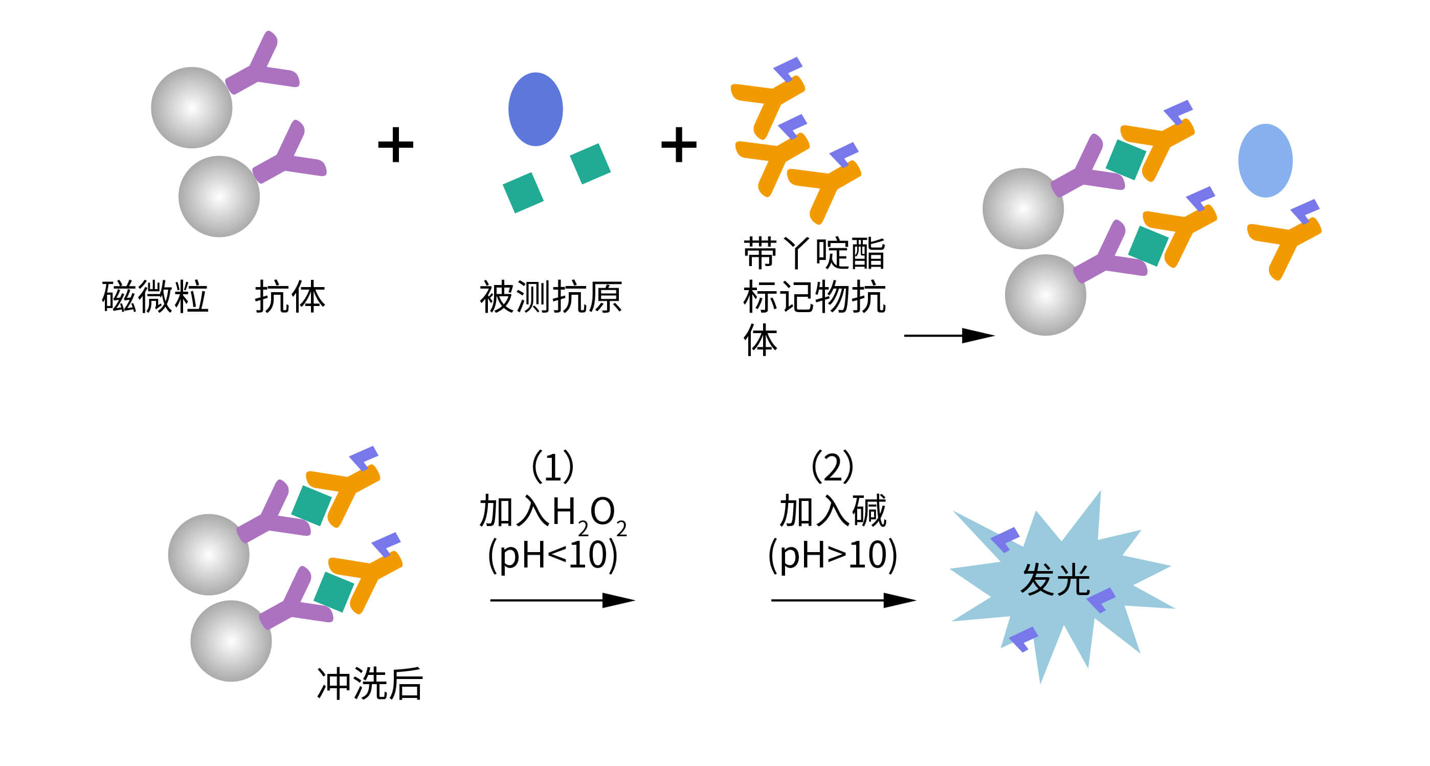 直接化學(xué)發(fā)光