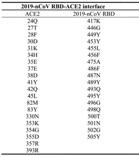 2019-nCoV RBD/ACE2接觸殘基