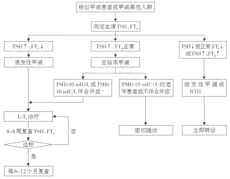 基層甲減患者管理流程