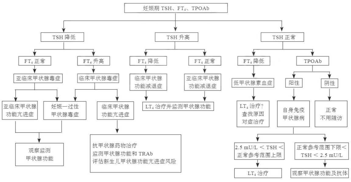 妊娠期甲狀腺疾病診治流程圖