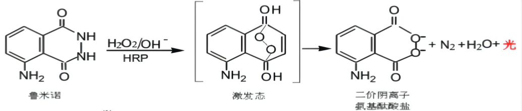 魯米諾發(fā)光原理