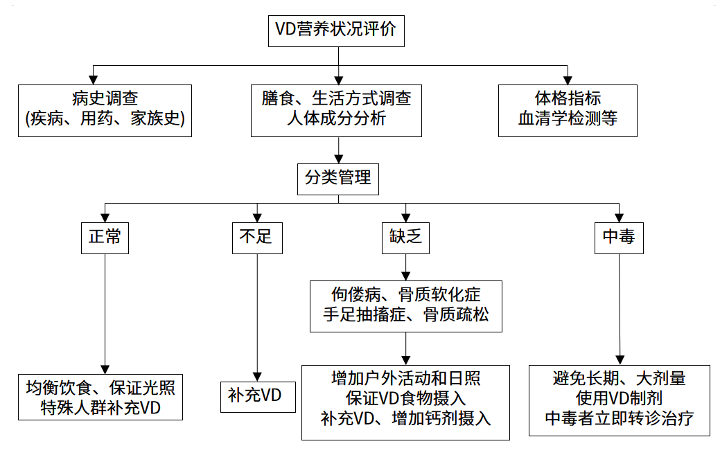 維生素D營養(yǎng)狀況人群篩查的實施流程