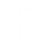 神經(jīng)類