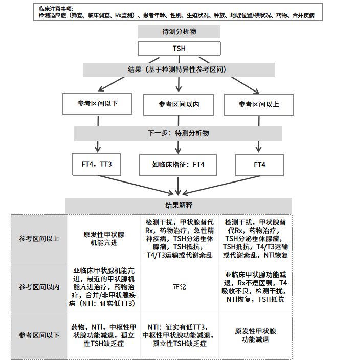 TSH和甲狀腺激素測量臨床算法
