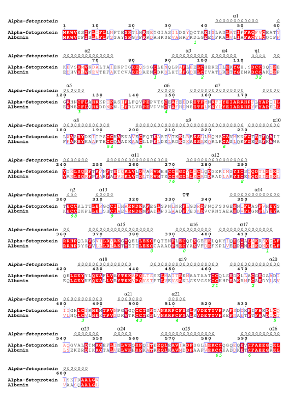 AFP與HSA序列比對